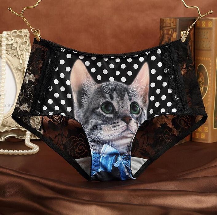 Culotte Chat 