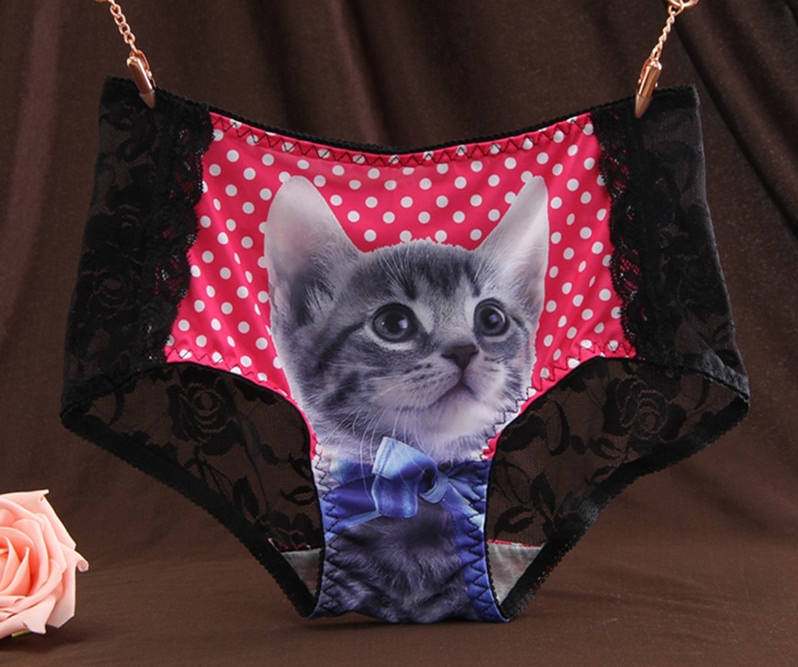 chat culotte