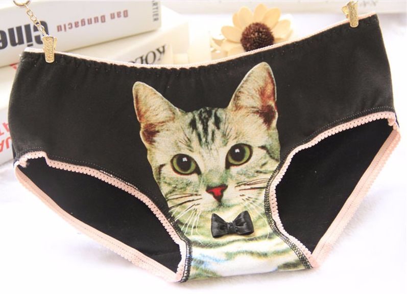 Culotte Noire Bordure Rose Chat Chaton A Noeud Papillon Culotte Noire Bordure Rose Chat Chaton A Noeud Papillon