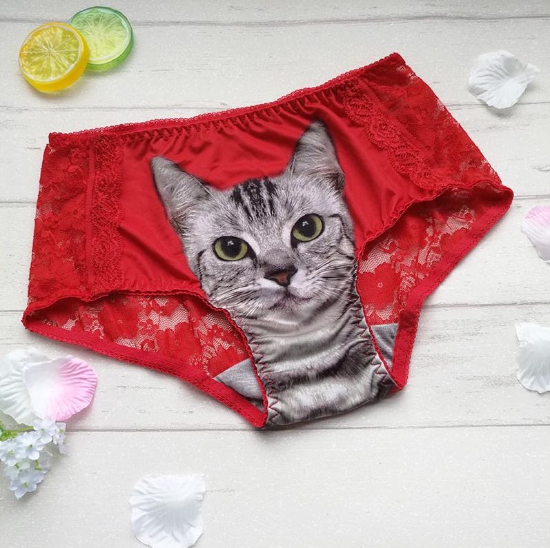 Culotte rouge chat gris arrière dentelle