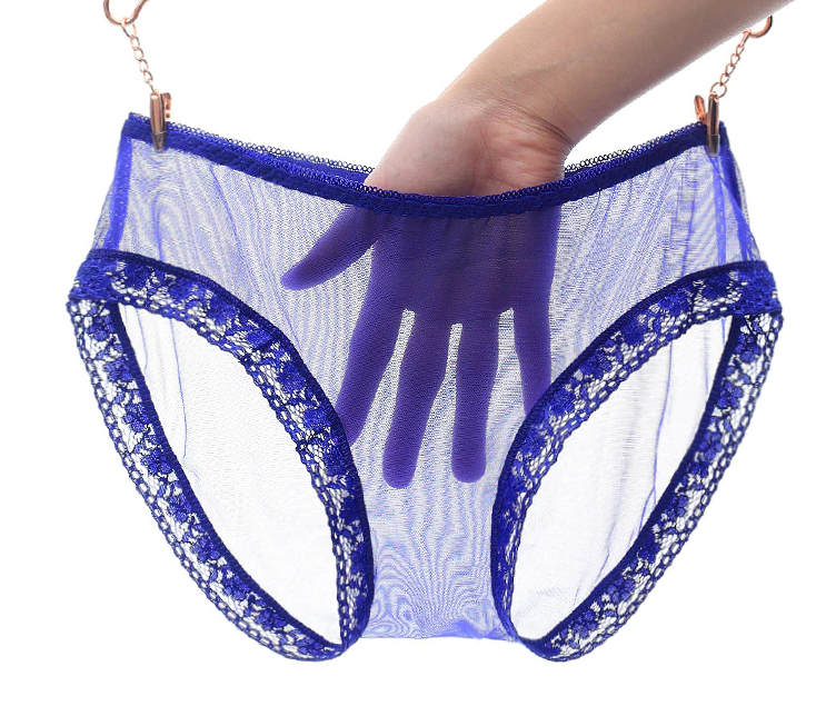 Culotte transparente en mesh bleu finition dentelle 