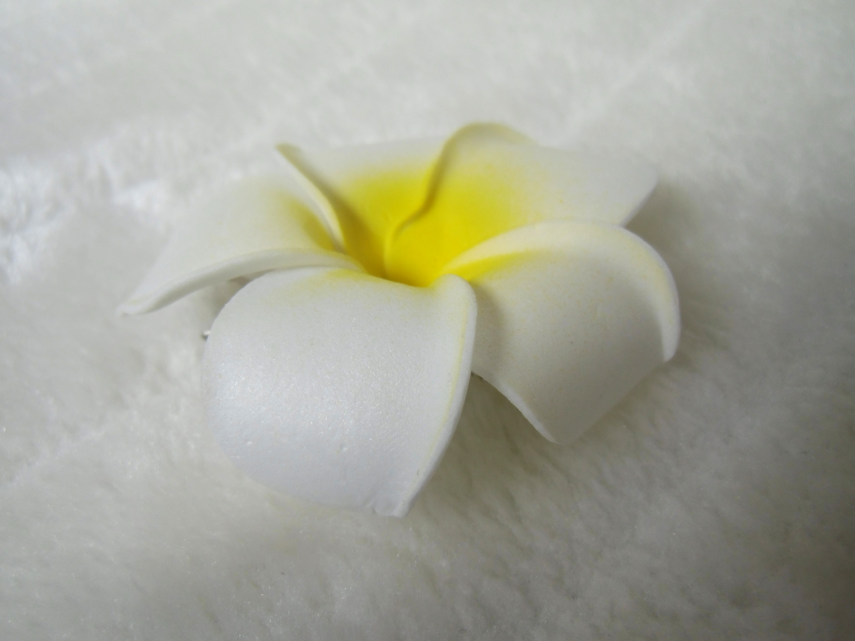 Pince à Cheveux Fleur Frangipane Avec Perle - 3 Tailles Au Choix | Clip Barrette élégant Blanc