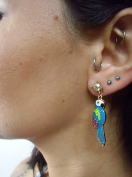 Boucles d'oreilles perroquets multicolores tropicaux