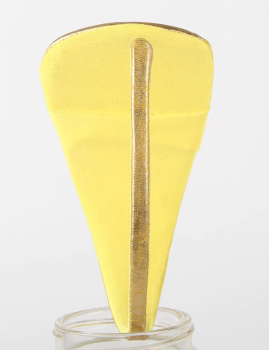 c-string-dore-brillant-2