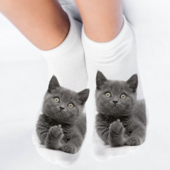 chaussettes-blanches-chat-gris-fuck-doigt-dhonneur