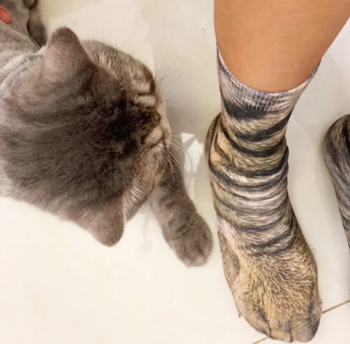 chaussettes-originales-pattes-chat-tigre