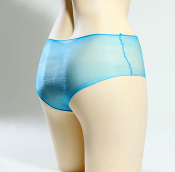 culotte-bleue-transparente-nylon-sans-gousset-3