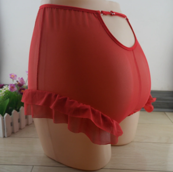 culotte-coquine-rouge-transparente-taille-haute-ouverte