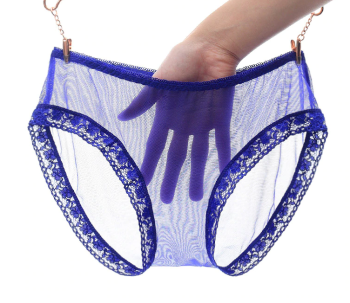 culotte-transparente-bordure-dentelle-bleue