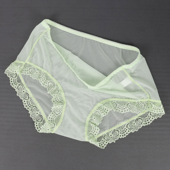 culotte-transparente-verte-finition-dentelle-2-1