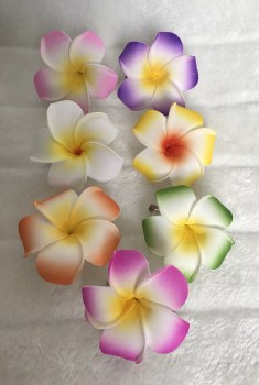 Pince clip à cheveux fleur de frangipane couleurs